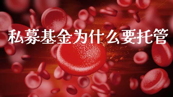 私募基金为什么要托管_https://wap.sdyuehang.cn_美股行情_第1张
