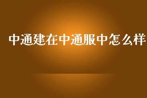 中通建在中通服中怎么样_https://wap.sdyuehang.cn_产经新闻_第1张