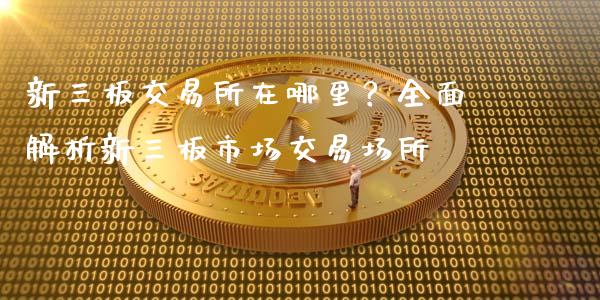 新三板交易所在哪里？全面解析新三板市场交易场所_https://wap.sdyuehang.cn_新股申购_第1张