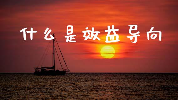 什么是效益导向_https://wap.sdyuehang.cn_债券资讯_第1张