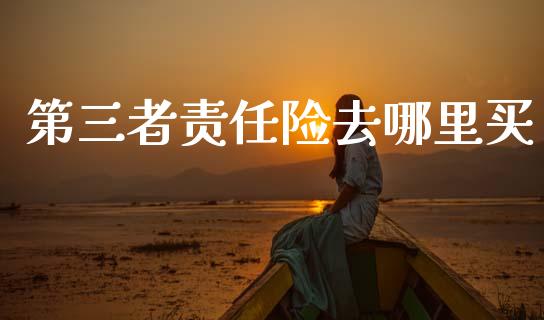 第三者责任险去哪里买_https://wap.sdyuehang.cn_债券资讯_第1张