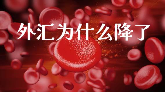外汇为什么降了_https://wap.sdyuehang.cn_债券资讯_第1张