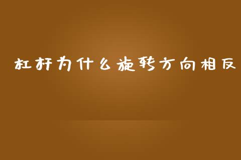 杠杆为什么旋转方向相反_https://wap.sdyuehang.cn_新股申购_第1张
