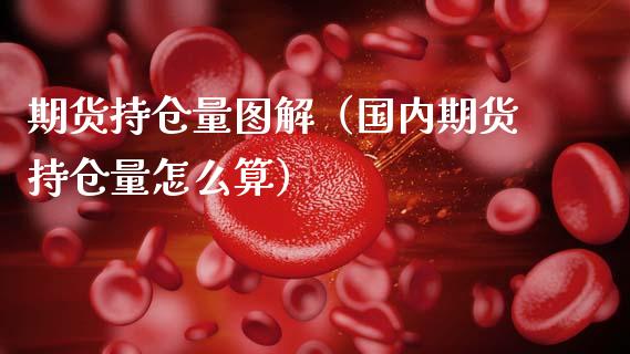 期货持仓量图解（国内期货持仓量怎么算）_https://wap.sdyuehang.cn_美股行情_第1张