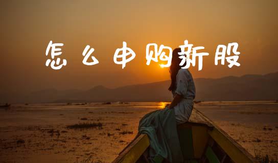 怎么申购新股_https://wap.sdyuehang.cn_美股行情_第1张