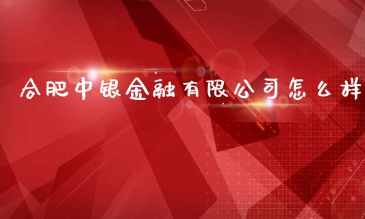 合肥中银金融有限公司怎么样_https://wap.sdyuehang.cn_债券资讯_第1张