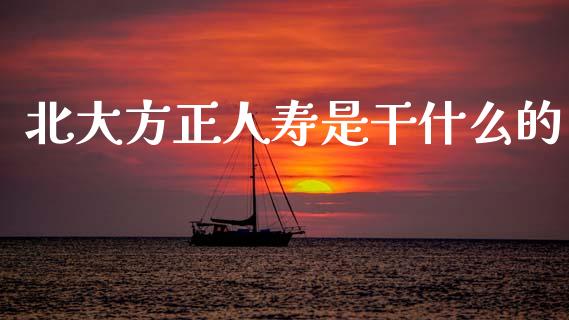 北大方正人寿是干什么的_https://wap.sdyuehang.cn_产经新闻_第1张