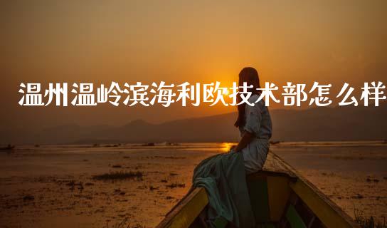 温州温岭滨海利欧技术部怎么样_https://wap.sdyuehang.cn_产经新闻_第1张