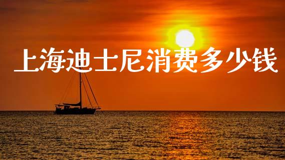 上海迪士尼消费多少钱_https://wap.sdyuehang.cn_债券资讯_第1张