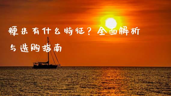 粳米有什么特征？全面解析与选购指南_https://wap.sdyuehang.cn_新股申购_第1张