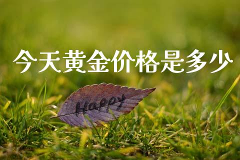 今天黄金价格是多少_https://wap.sdyuehang.cn_债券资讯_第1张