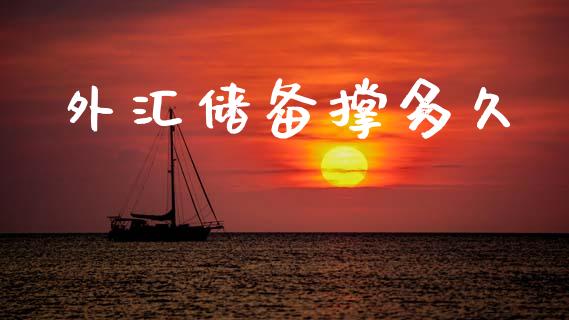 外汇储备撑多久_https://wap.sdyuehang.cn_美股行情_第1张