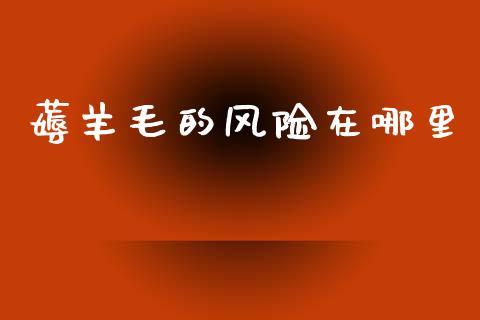薅羊毛的风险在哪里_https://wap.sdyuehang.cn_新股申购_第1张