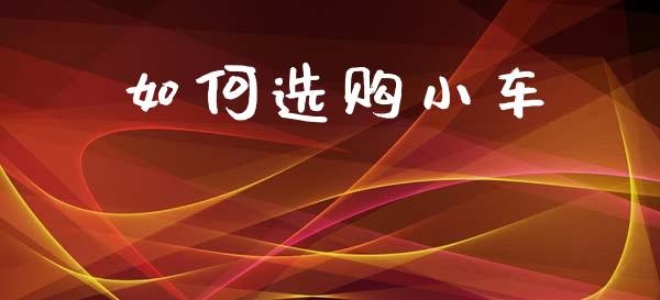 如何选购小车_https://wap.sdyuehang.cn_新股申购_第1张
