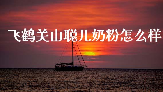 飞鹤关山聪儿奶粉怎么样_https://wap.sdyuehang.cn_债券资讯_第1张