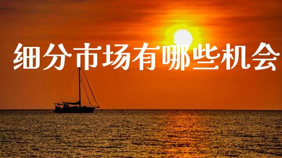 细分市场有哪些机会_https://wap.sdyuehang.cn_美股行情_第1张