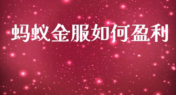 蚂蚁金服如何盈利_https://wap.sdyuehang.cn_新股申购_第1张