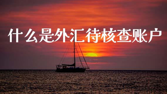 什么是外汇待核查账户_https://wap.sdyuehang.cn_美股行情_第1张