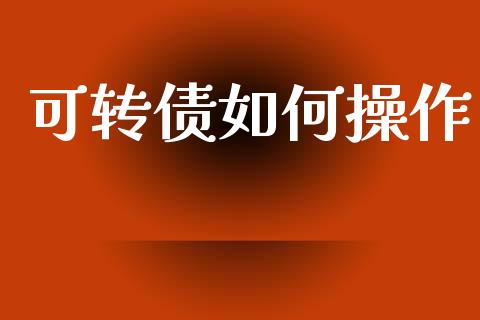 可转债如何操作_https://wap.sdyuehang.cn_新股申购_第1张