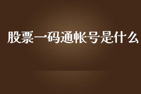 股票一码通帐号是什么_https://wap.sdyuehang.cn_债券资讯_第1张