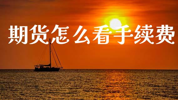 期货怎么看手续费_https://wap.sdyuehang.cn_债券资讯_第1张