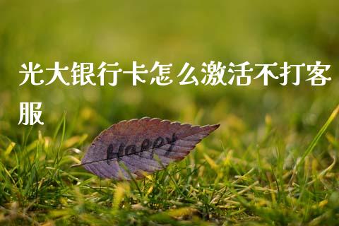 光大银行卡怎么激活不打客服_https://wap.sdyuehang.cn_债券资讯_第1张