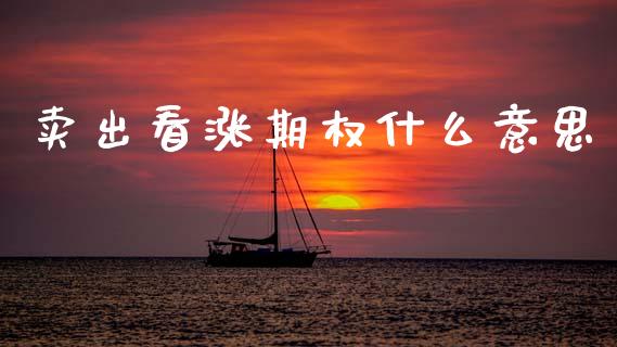 卖出看涨期权什么意思_https://wap.sdyuehang.cn_美股行情_第1张