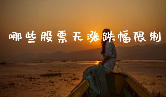 哪些股票无涨跌幅限制_https://wap.sdyuehang.cn_产经新闻_第1张