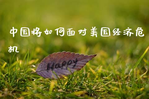 中国将如何面对美国经济危机_https://wap.sdyuehang.cn_产经新闻_第1张