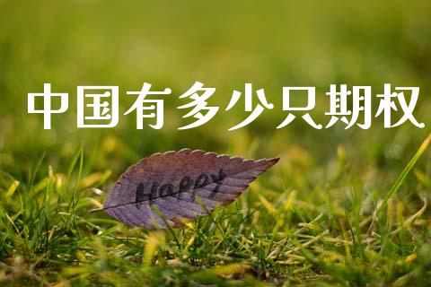 中国有多少只期权_债券资讯_第1张_产经新闻_债券资讯_新股申购_美股行情 中国有多少只期权_https://wap.sdyuehang.cn_债券资讯_第1张