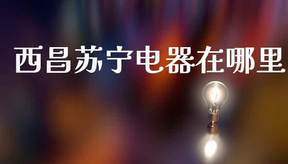 西昌苏宁电器在哪里_https://wap.sdyuehang.cn_产经新闻_第1张
