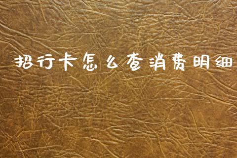 招行卡怎么查消费明细_https://wap.sdyuehang.cn_新股申购_第1张