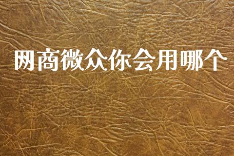 网商微众你会用哪个_https://wap.sdyuehang.cn_美股行情_第1张