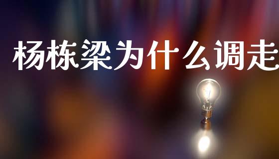 杨栋梁为什么调走_https://wap.sdyuehang.cn_新股申购_第1张