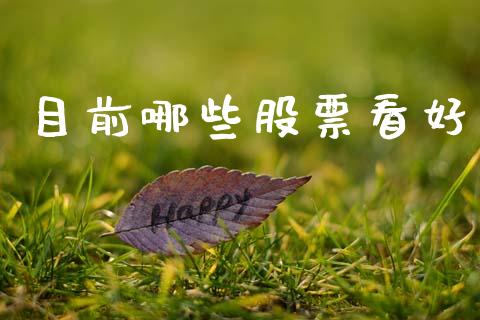 目前哪些股票看好_https://wap.sdyuehang.cn_产经新闻_第1张