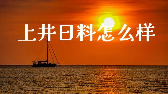 上井日料怎么样_https://wap.sdyuehang.cn_美股行情_第1张