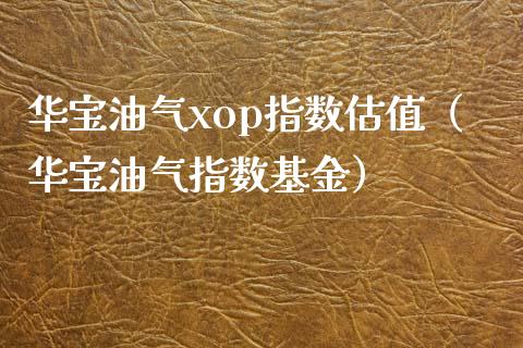 华宝油气xop指数估值（华宝油气指数基金）_https://wap.sdyuehang.cn_产经新闻_第1张