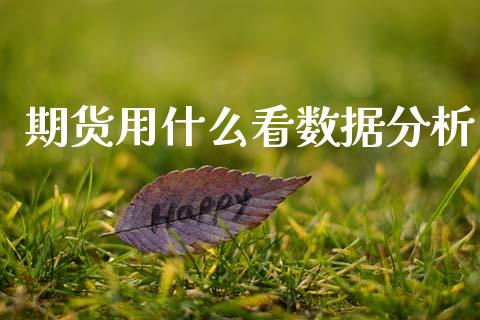 期货用什么看数据分析_https://wap.sdyuehang.cn_新股申购_第1张