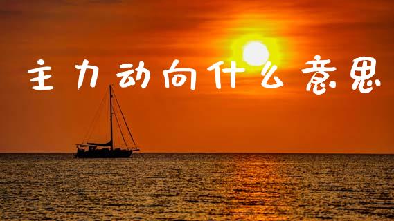 主力动向什么意思_https://wap.sdyuehang.cn_债券资讯_第1张