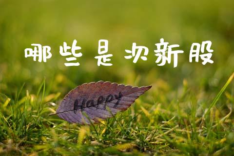 哪些是次新股_https://wap.sdyuehang.cn_美股行情_第1张