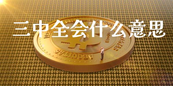 三中全会什么意思_https://wap.sdyuehang.cn_产经新闻_第1张