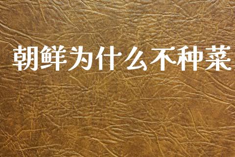 朝鲜为什么不种菜_https://wap.sdyuehang.cn_产经新闻_第1张