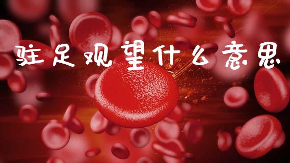 驻足观望什么意思_https://wap.sdyuehang.cn_债券资讯_第1张