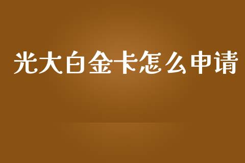 光大白金卡怎么申请_https://wap.sdyuehang.cn_债券资讯_第1张
