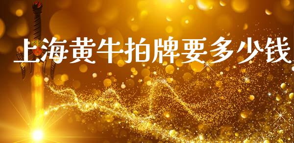 上海黄牛拍牌要多少钱_https://wap.sdyuehang.cn_债券资讯_第1张
