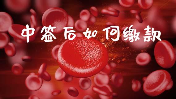 中签后如何缴款_https://wap.sdyuehang.cn_产经新闻_第1张