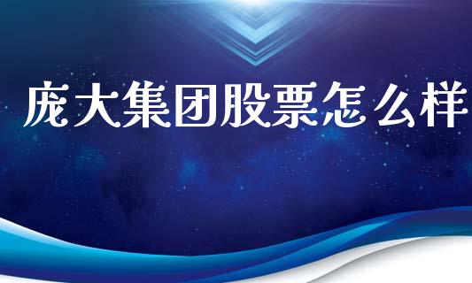 庞大集团股票怎么样_https://wap.sdyuehang.cn_新股申购_第1张