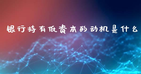 银行持有低资本的动机是什么_https://wap.sdyuehang.cn_债券资讯_第1张