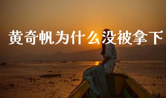 黄奇帆为什么没被拿下_https://wap.sdyuehang.cn_债券资讯_第1张