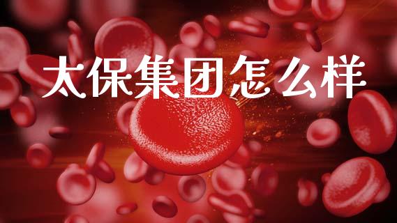 太保集团怎么样_https://wap.sdyuehang.cn_产经新闻_第1张